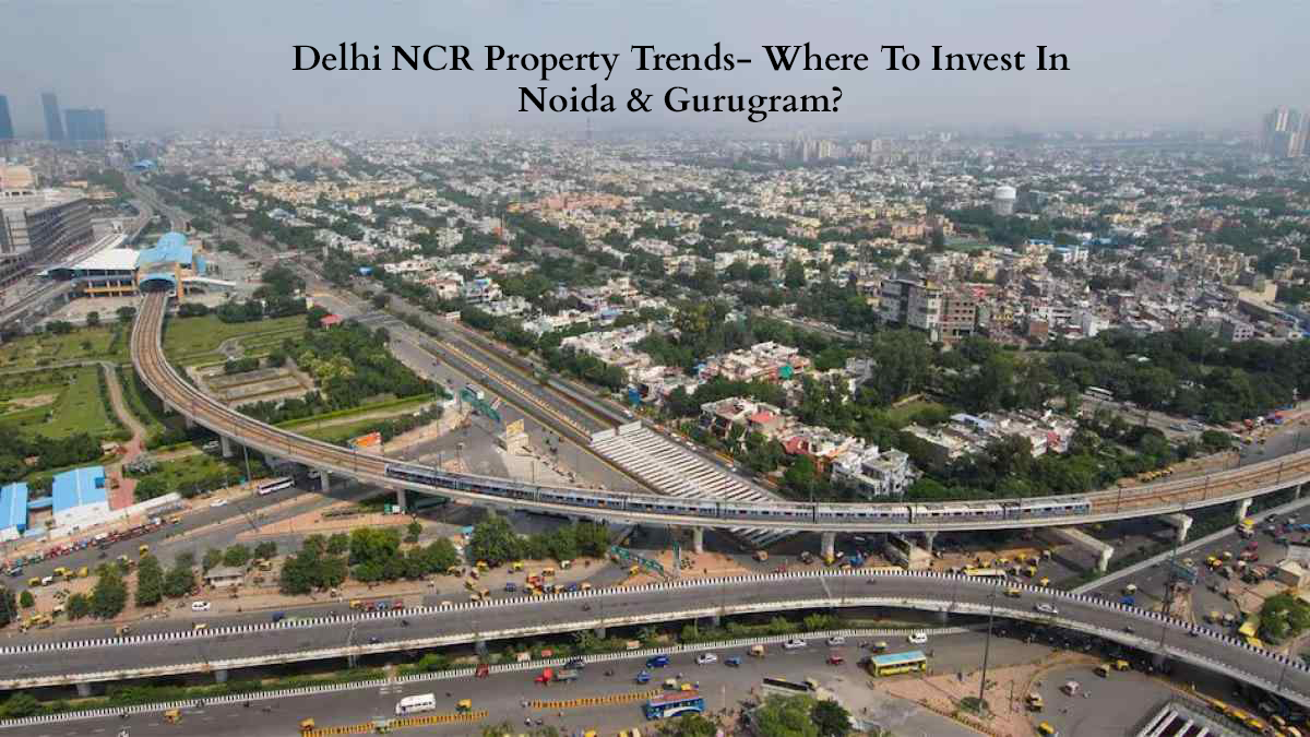 uploads/blog/investment-in-Noida-1.png